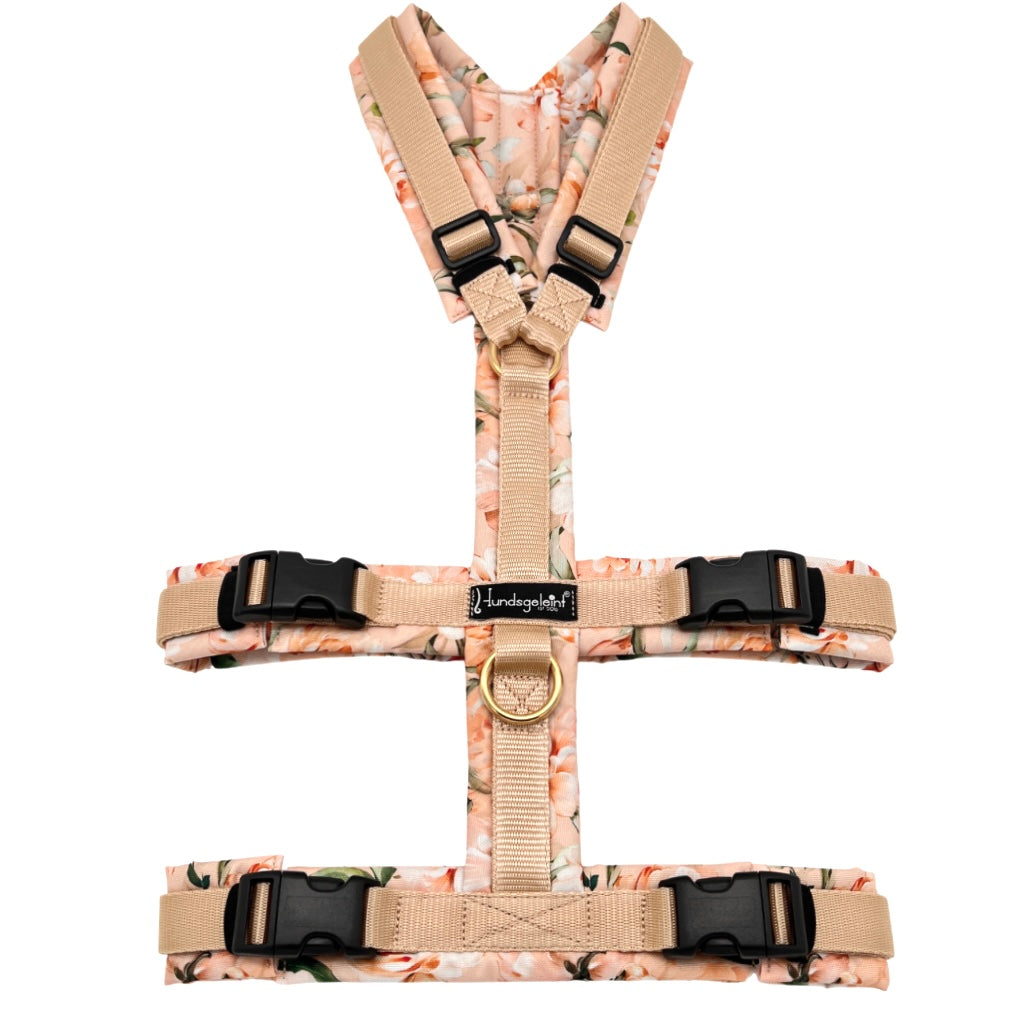 Hundegeschirr SAFETY Konfigurator
