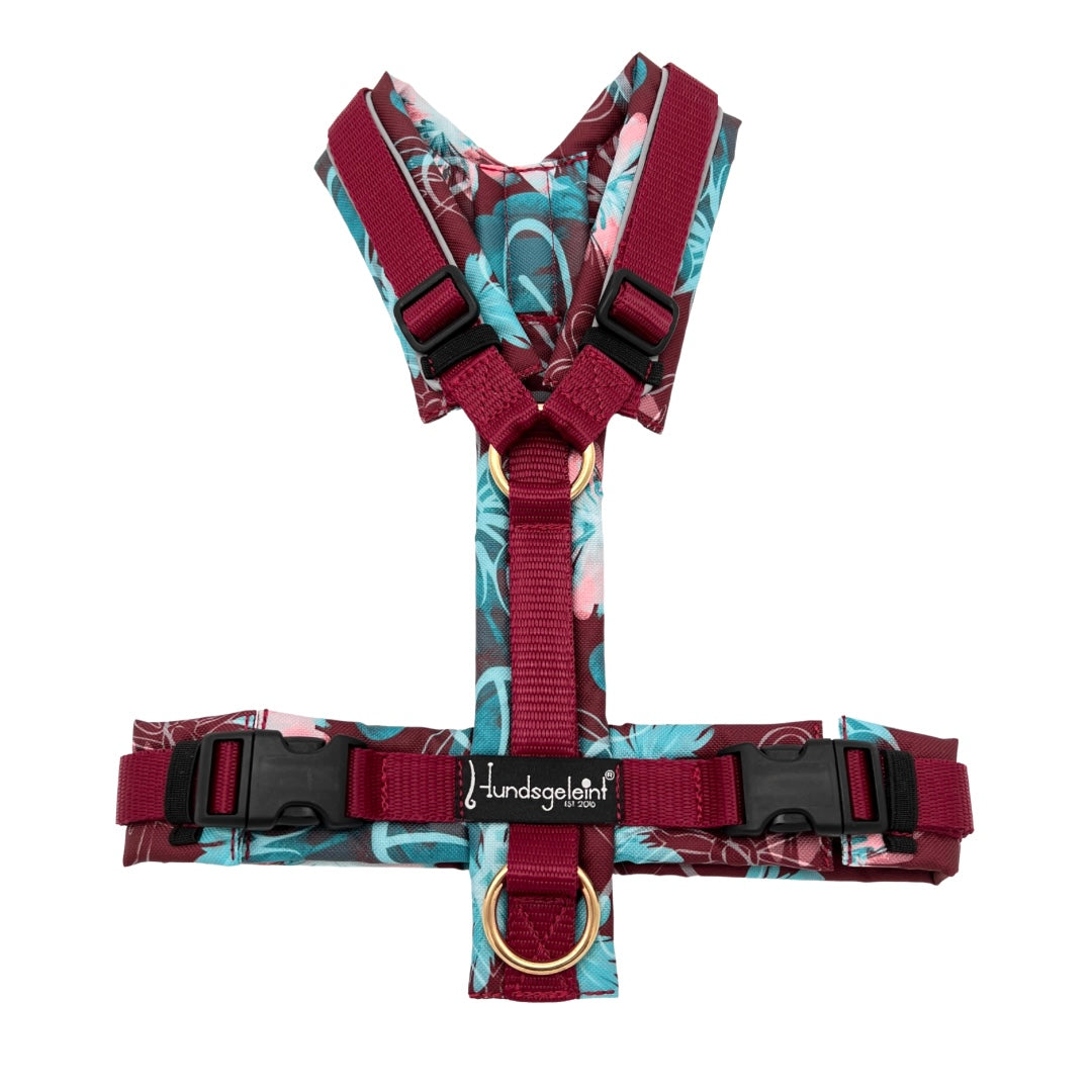 LAST CHANCE Hundegeschirr Adventure