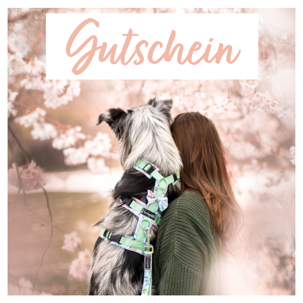 Gutschein mit Wunschbetrag