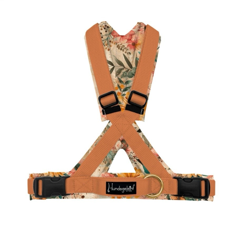 Hundegeschirr Comfort Konfigurator