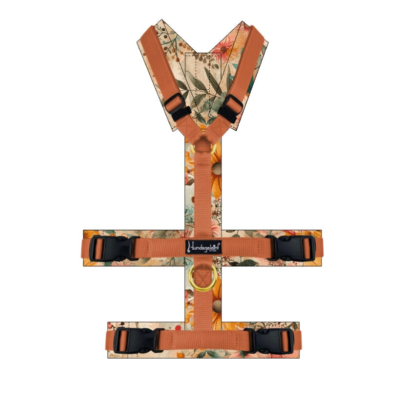 Hundegeschirr Safety Konfigurator