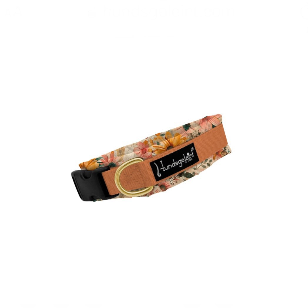 Halsband Konfigurator