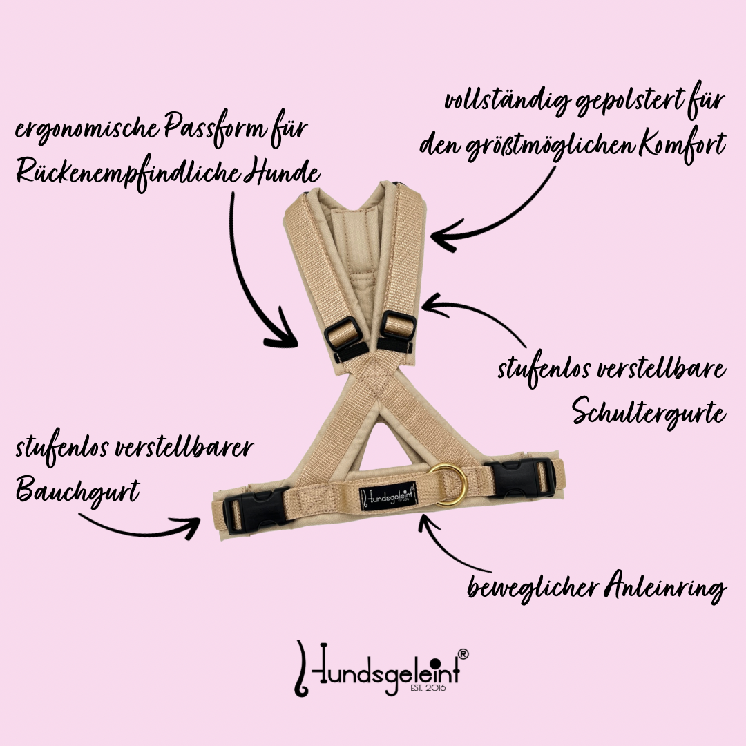 Hundegeschirr Comfort Konfigurator