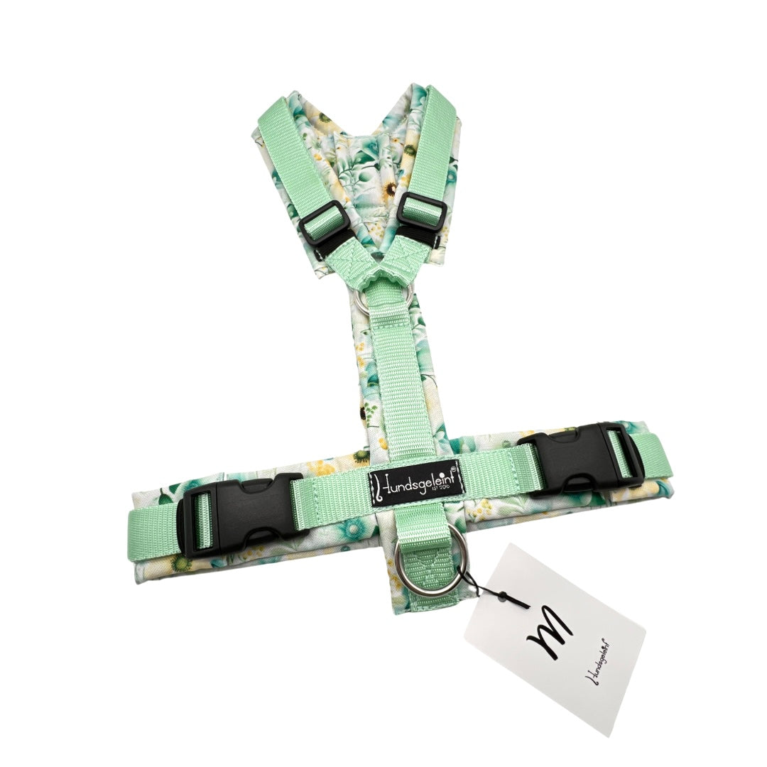 Green Meadow x Pastellmint, Gr. M