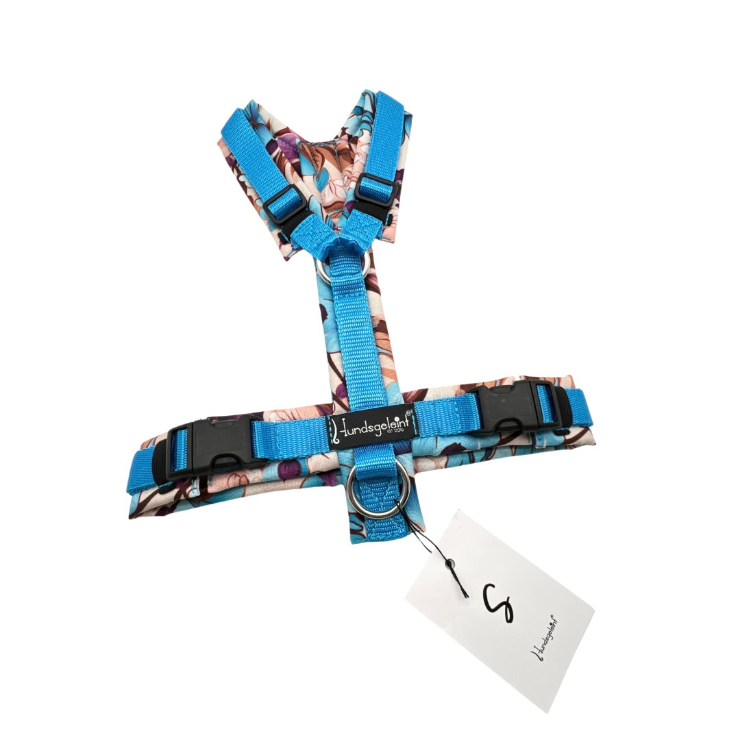 Flowertale x Aquamarin, Gr. S