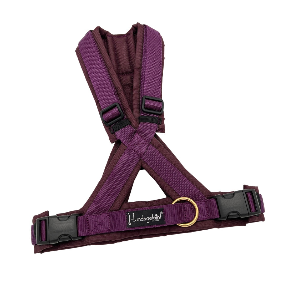 Hundegeschirr Comfort Konfigurator