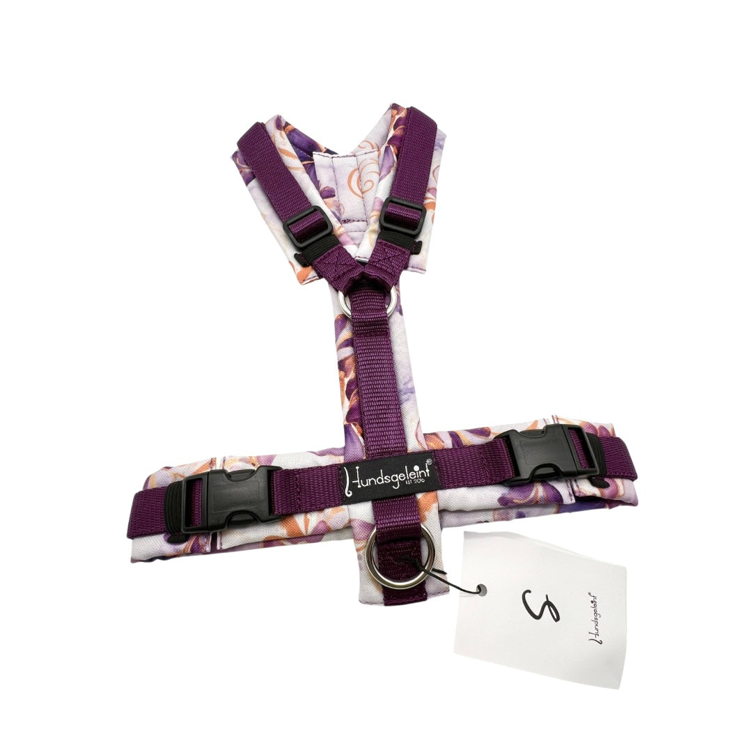 Plum Barock x Pflaume, Gr. S