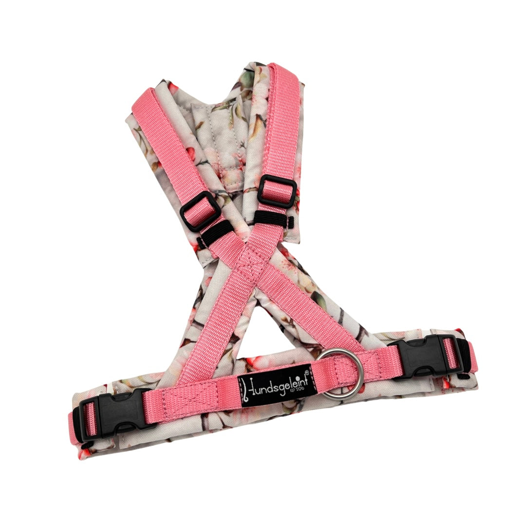 Hundegeschirr Comfort Konfigurator