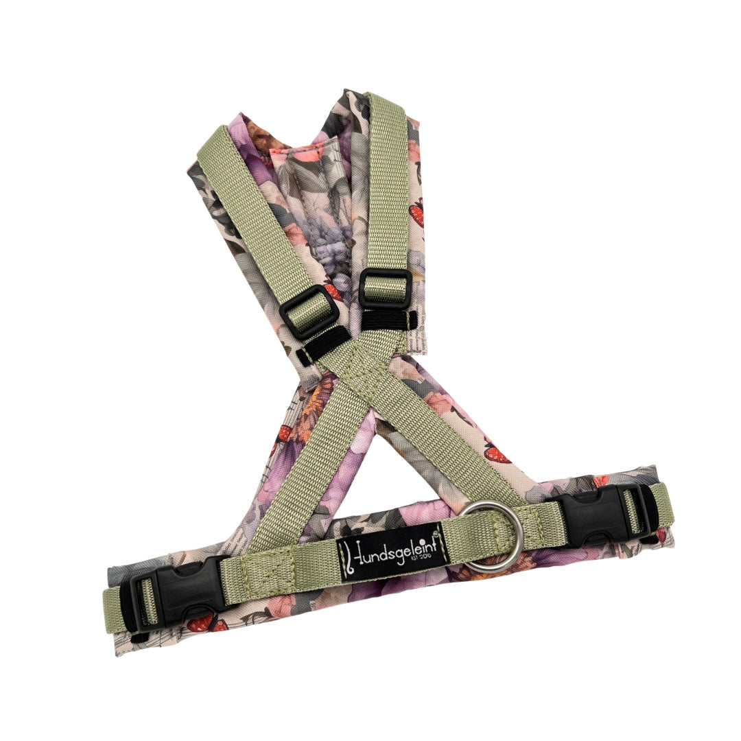 Hundegeschirr Comfort Konfigurator