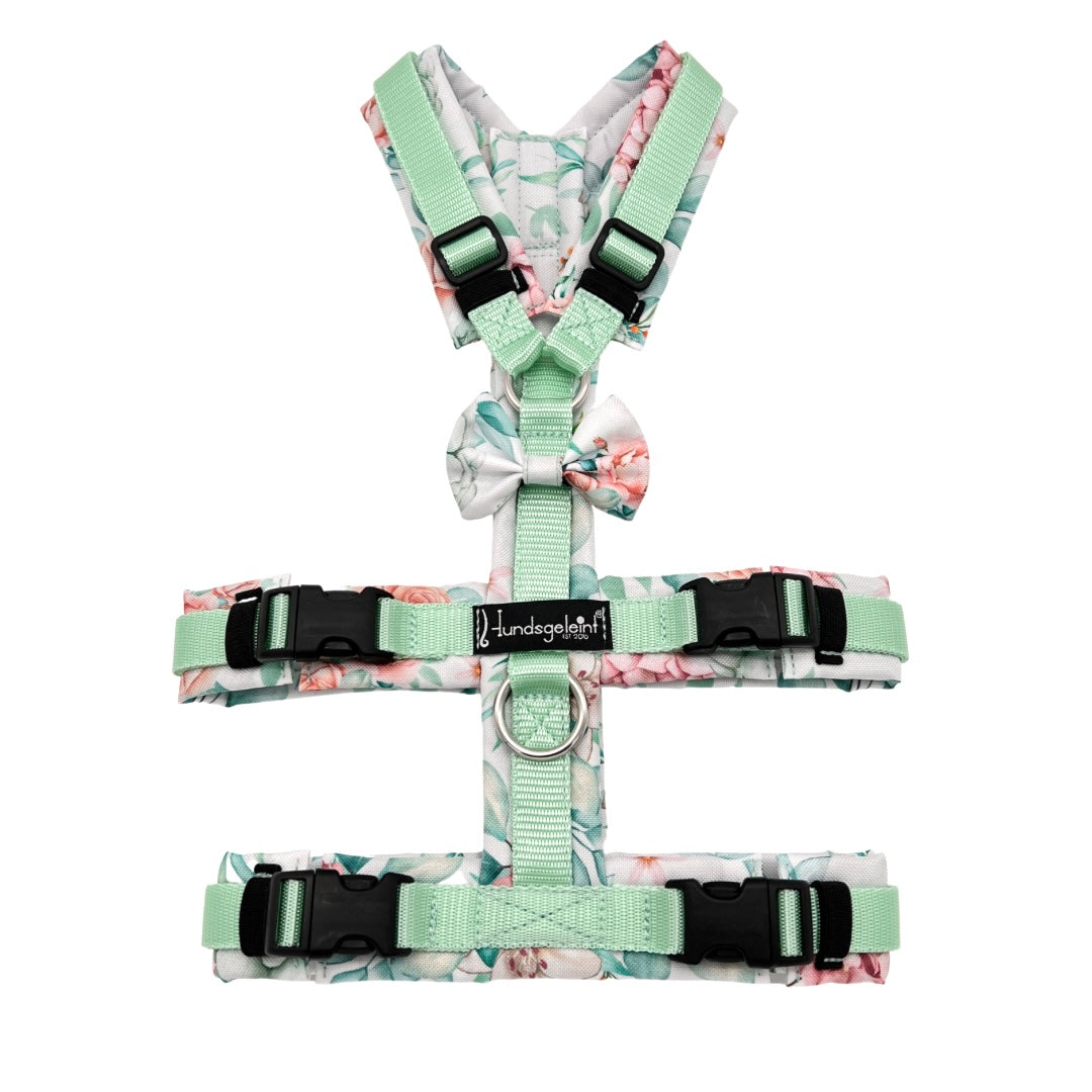 Hundegeschirr Safety Konfigurator