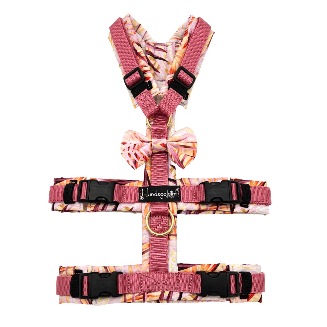 Hundegeschirr Safety Konfigurator
