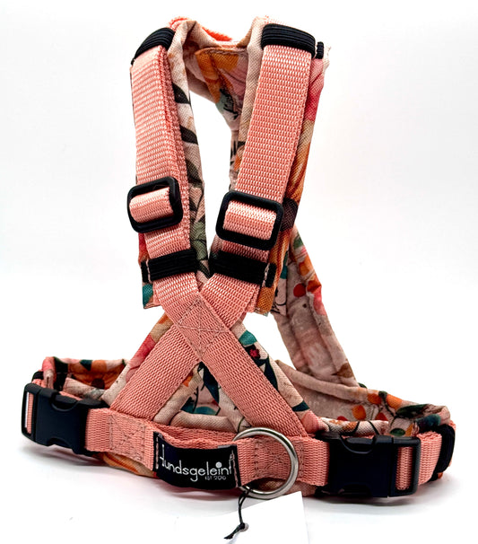 Comfort In the Mood x Peach, Gr. XS