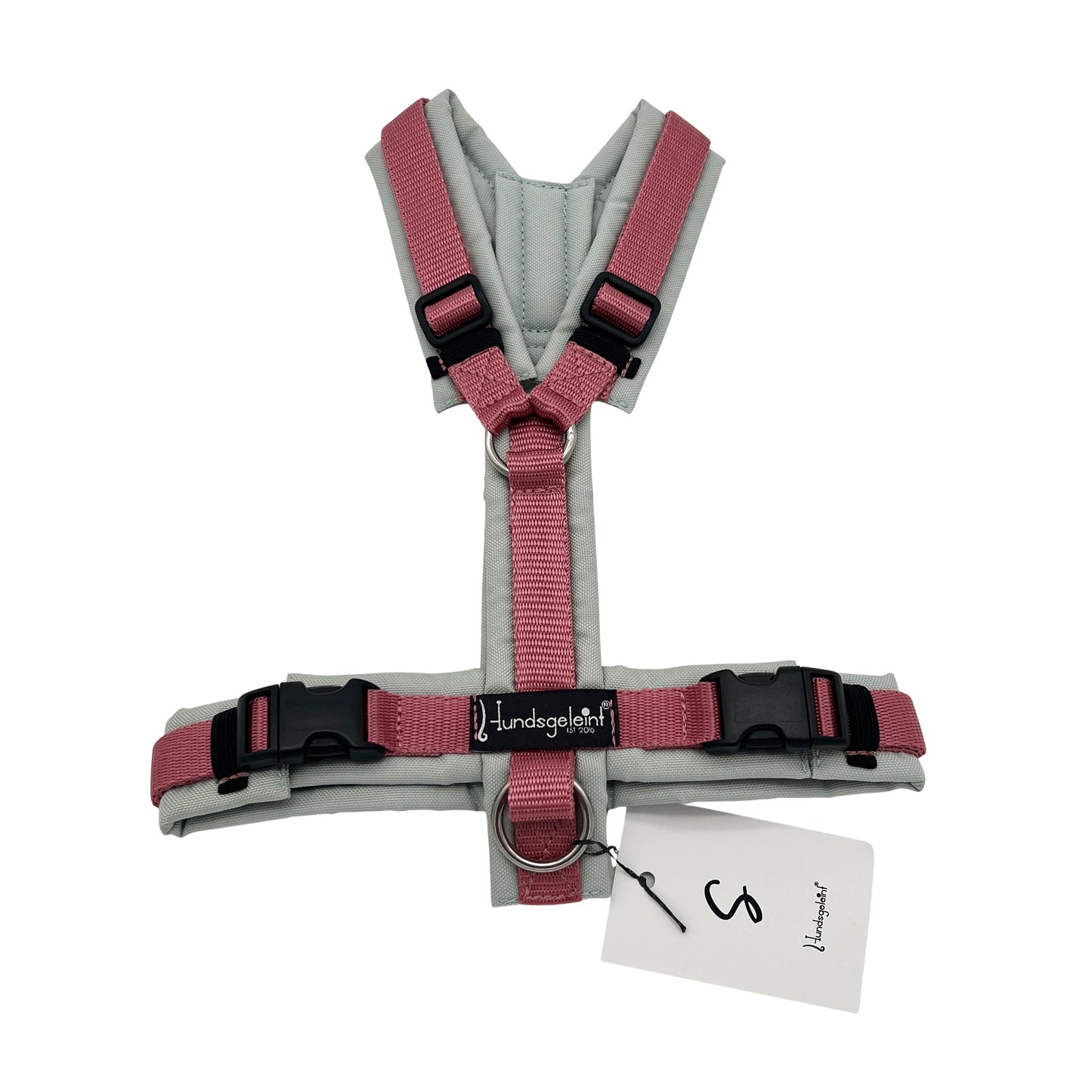 Salbei x Altrosa, Gr. S