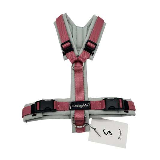 Salbei x Altrosa, Gr. S