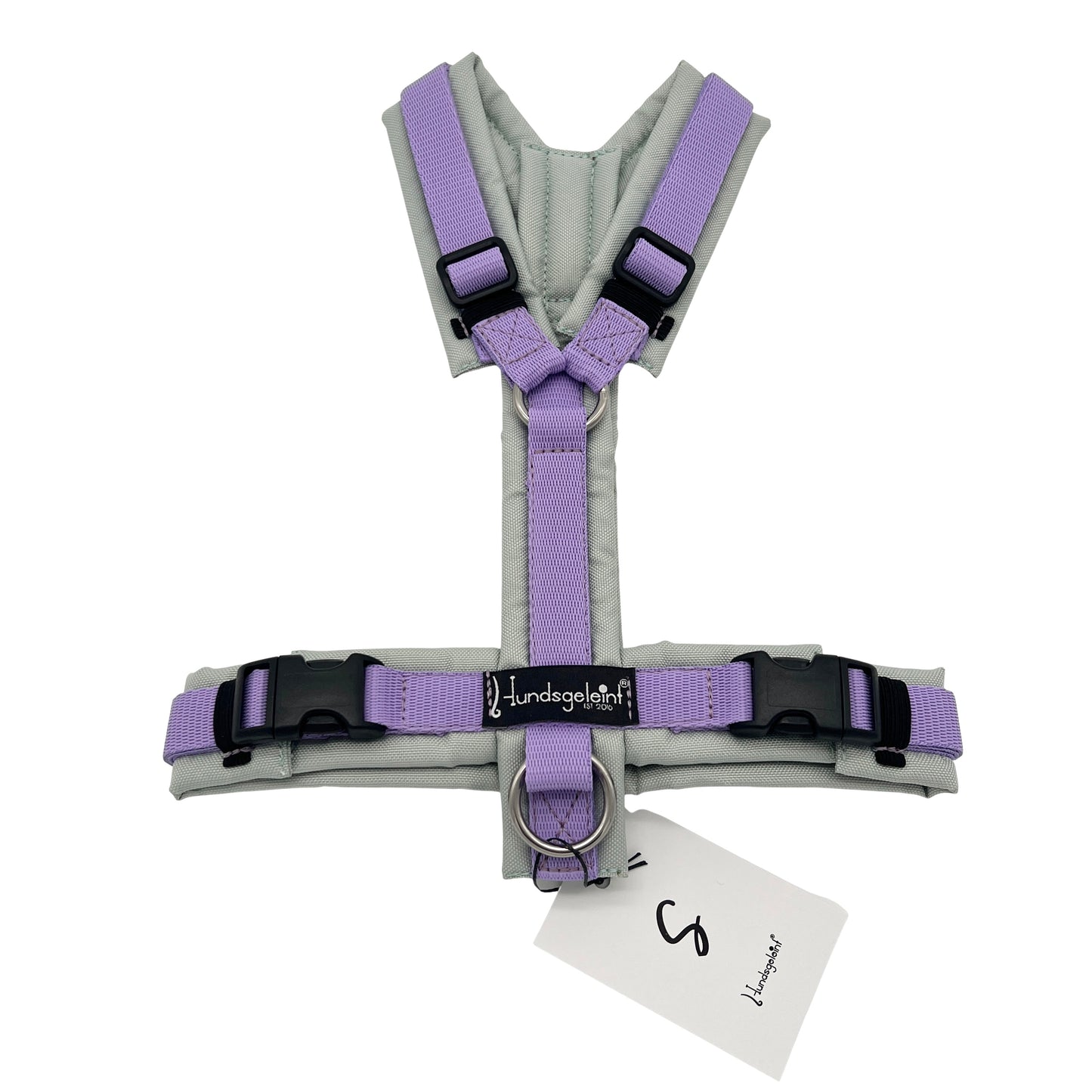 Salbei x Flieder, Gr. S