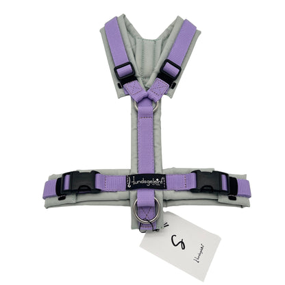 Salbei x Flieder, Gr. S