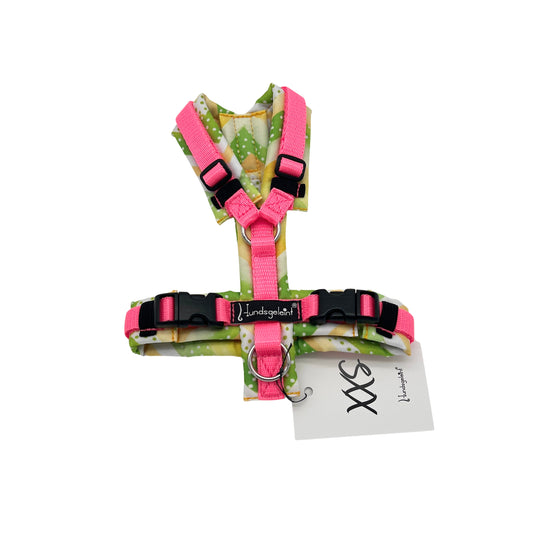 Green Stripes x Leuchtlachs, Gr. XXS