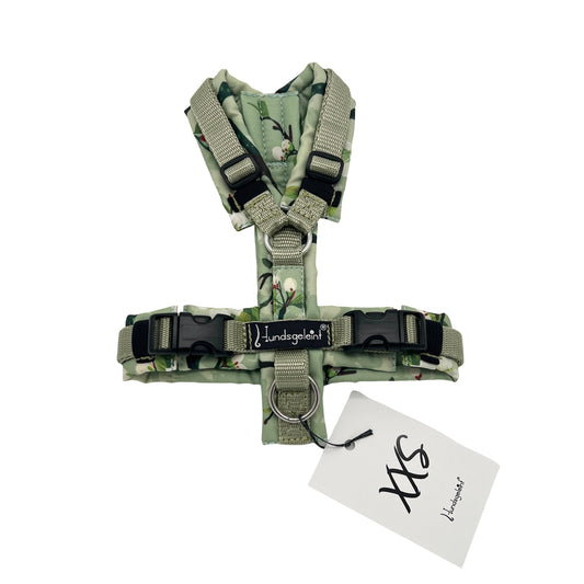 Apfelblüten x Helloliv, Gr. XXS mit Backpatch