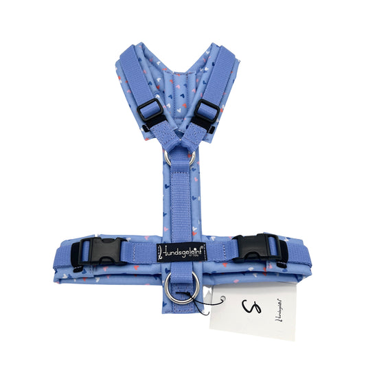 Herzchen x Kornblumenblau, Gr. S