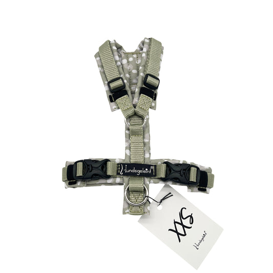 Helloliv Dots x Helloliv, Gr. XXS mit Safetyschnalle