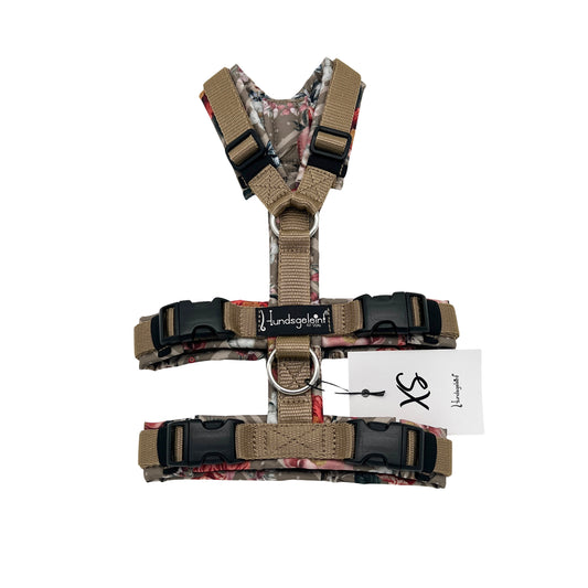 Golden Garden x Goldbeige, Gr. XS