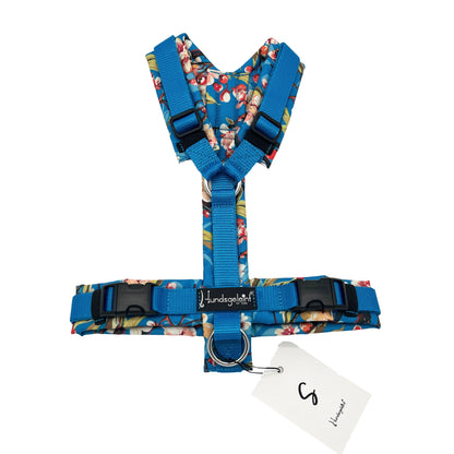 Blue Cherry x Blau, Gr. S