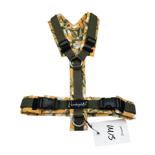 Blütentraum x Khaki, Gr. S/M