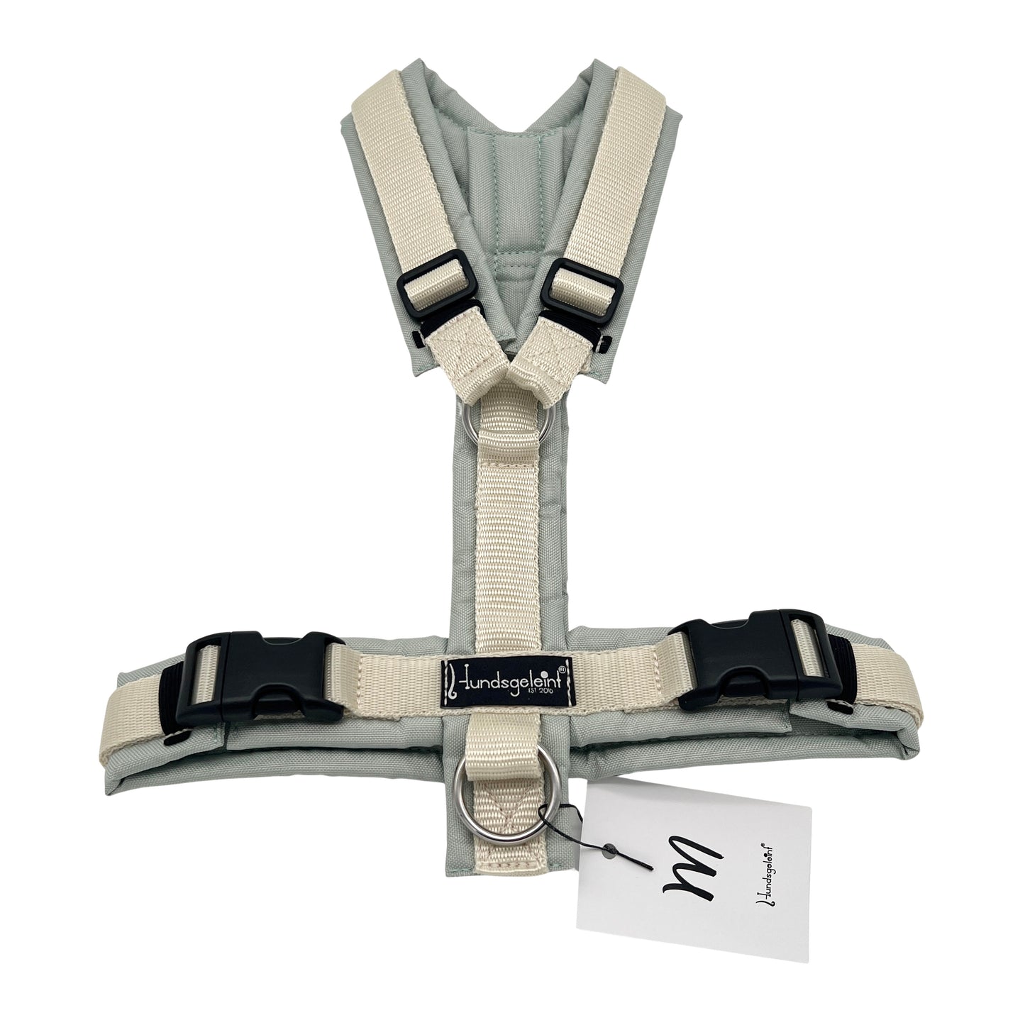 Salbei x Creme, Gr. M