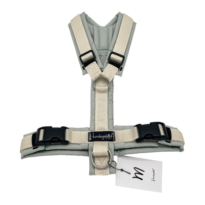 Salbei x Creme, Gr. M