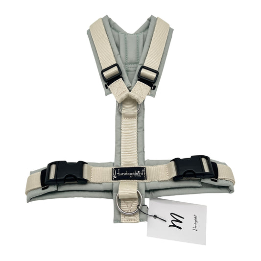 Salbei x Creme, Gr. M