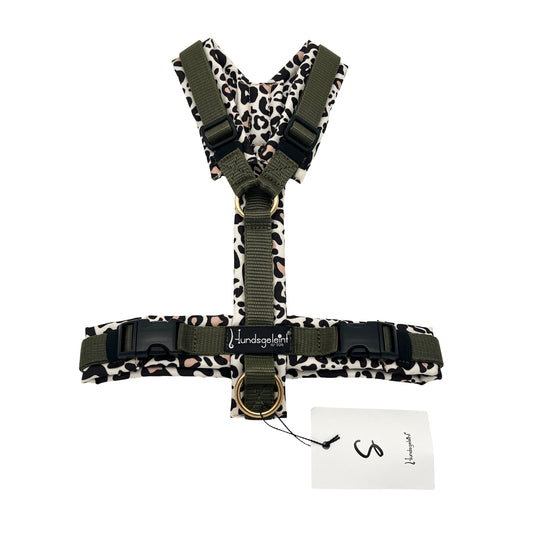 Leolicous x Khaki, Gr. S, Messing Oring