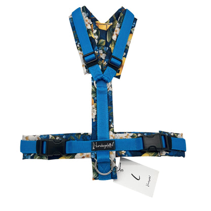 Citrus Summer x Blau, Gr. L