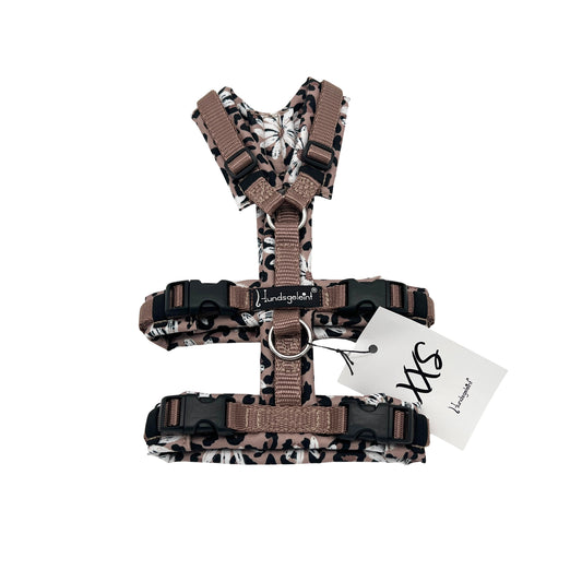 Leo Daisy x Nougat, Gr. XXS