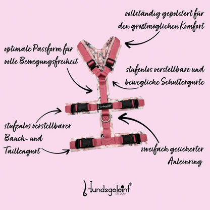Hundegeschirr Safety Konfigurator